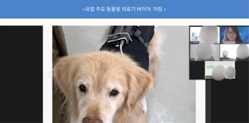 유럽 주요 동물용 의료기 바이어 미팅